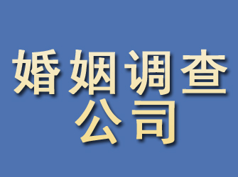 兴和婚姻调查公司